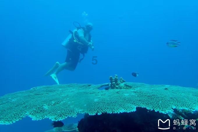 逃出海洋城堡